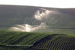 Image du Maroc Professionnelle de  Agriculture moderne système d'arrosage mobile dans le Gharb région de Larache au Nord Ouest du Maroc, Lundi 1er Juillet 2002. (Photo / Abdeljalil Bounhar)